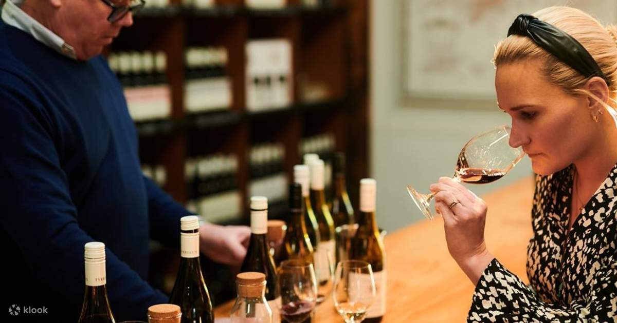 Wine tasting experience 2025